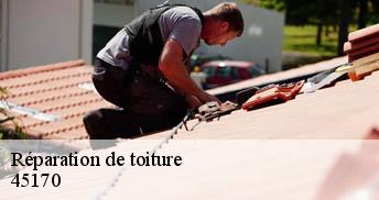 Réparation de toiture 45170