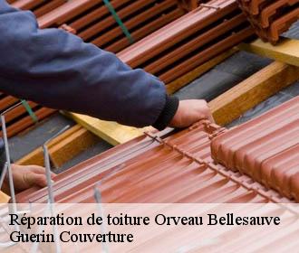 Réparation de toiture orveau-bellesauve-45330 Guerin Couverture