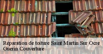 Réparation de toiture 45500