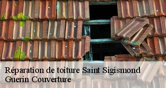 Réparation de toiture 45310