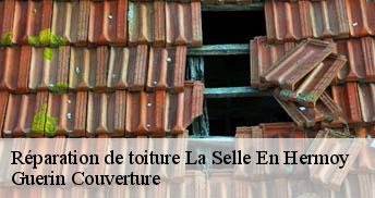 Réparation de toiture 45210