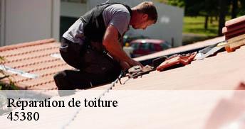 Réparation de toiture 45380
