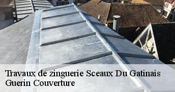 Travaux de zinguerie 45490