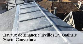 Travaux de zinguerie 45490