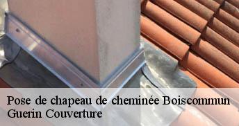 Pose de chapeau de cheminée 45340