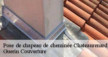 Pose de chapeau de cheminée 45220