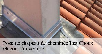 Pose de chapeau de cheminée 45290
