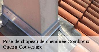 Pose de chapeau de cheminée 45530