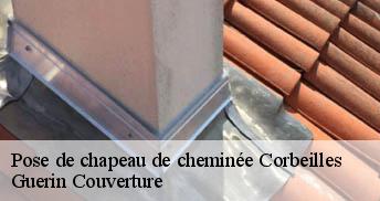 Pose de chapeau de cheminée 45490