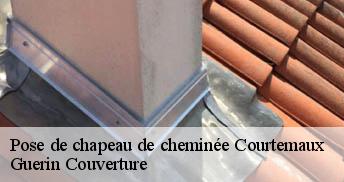 Pose de chapeau de cheminée 45320