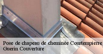 Pose de chapeau de cheminée 45490