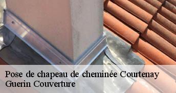 Pose de chapeau de cheminée 45320