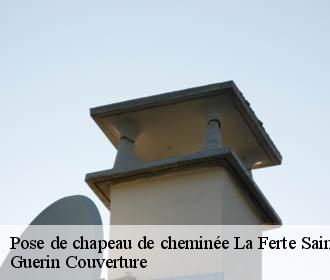 Pose de chapeau de cheminée la-ferte-saint-aubin-45240 Guerin Couverture