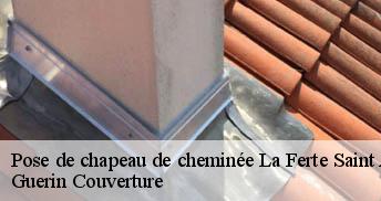 Pose de chapeau de cheminée 45240