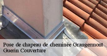 Pose de chapeau de cheminée 45390