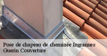 Pose de chapeau de cheminée 45450