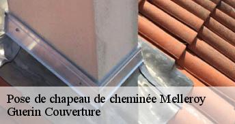 Pose de chapeau de cheminée 45220