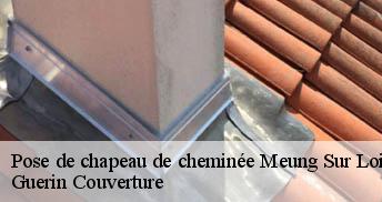Pose de chapeau de cheminée 45130