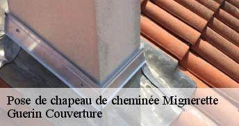 Pose de chapeau de cheminée 45490