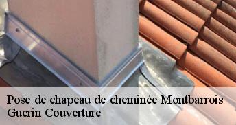 Pose de chapeau de cheminée 45340