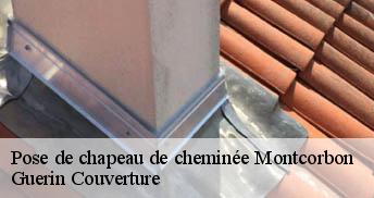Pose de chapeau de cheminée 45220