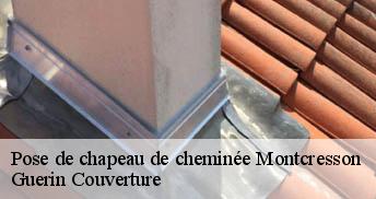 Pose de chapeau de cheminée 45700