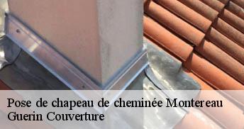 Pose de chapeau de cheminée 45260