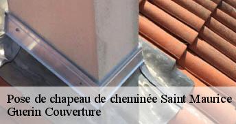 Pose de chapeau de cheminée 45700