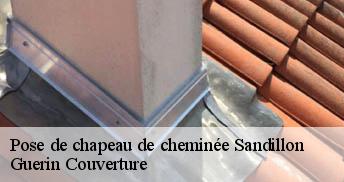 Pose de chapeau de cheminée 45640