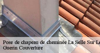 Pose de chapeau de cheminée 45210