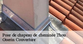 Pose de chapeau de cheminée 45420