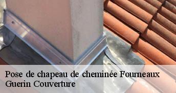 Pose de chapeau de cheminée 45380