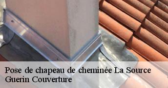 Pose de chapeau de cheminée 45100